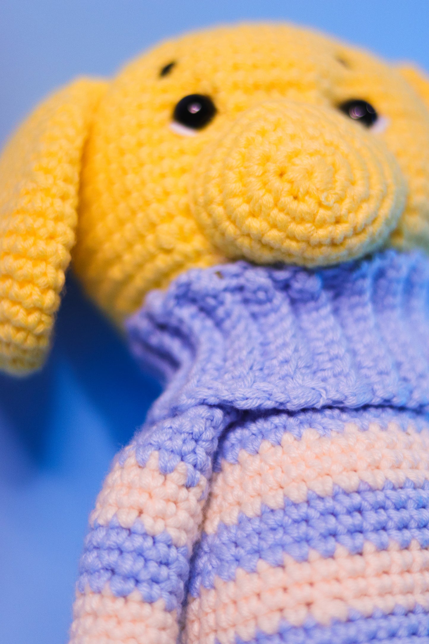 Doggy Rayas - Amigurumi