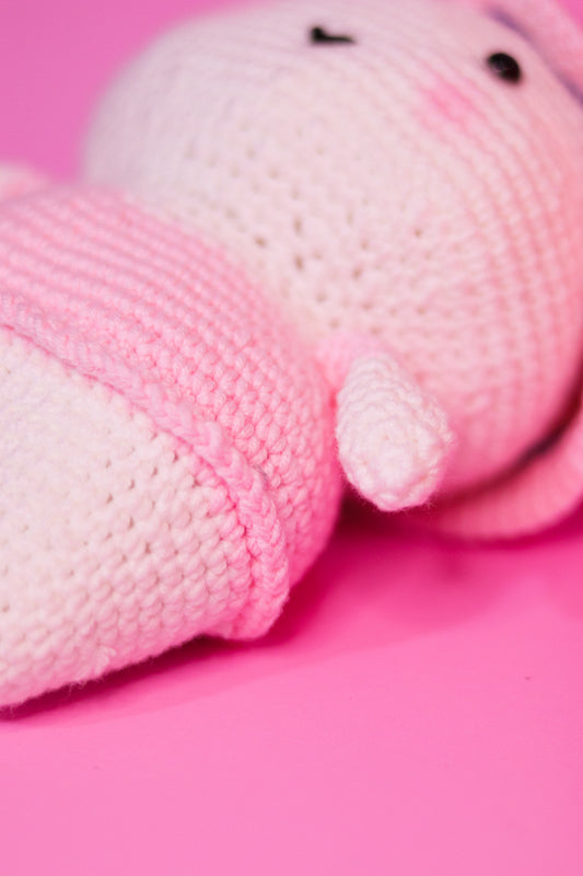 Señora Coneja - Amigurumi